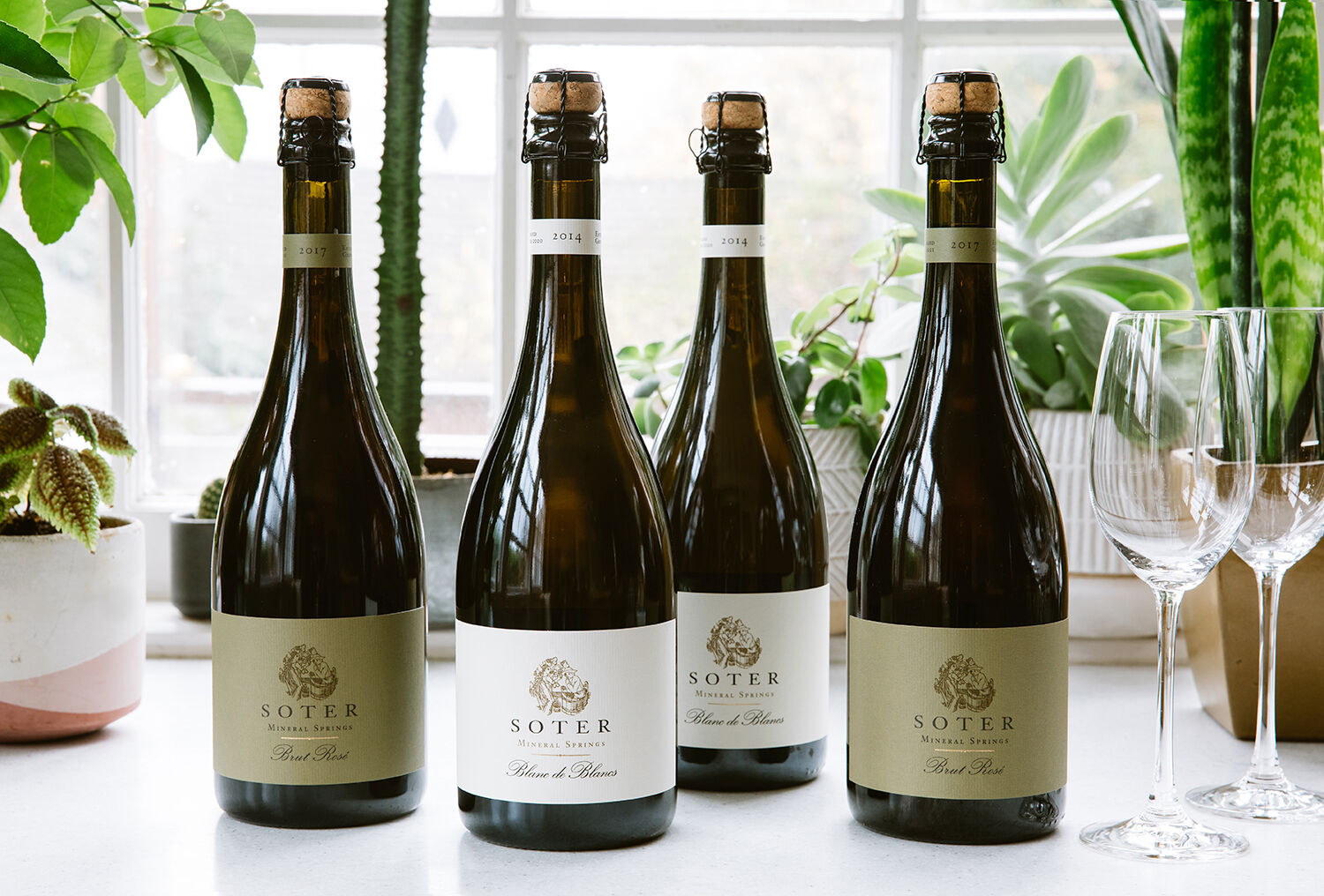 Soter wines